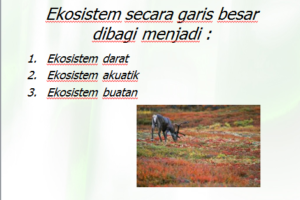 Ekosistem darat kondisi komponen abiotik Ekosistem Darat